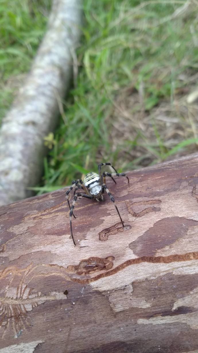 Ne tarz fotoğraflar çekmeyi seversiniz?