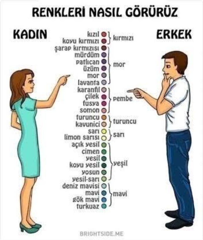 Erkeklerle kadınları birbirinden ayıran özellikler nelerdir?