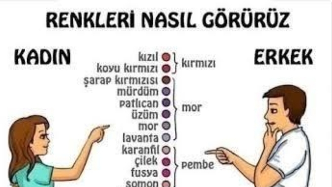 Erkeklerle kadınları birbirinden ayıran özellikler nelerdir?