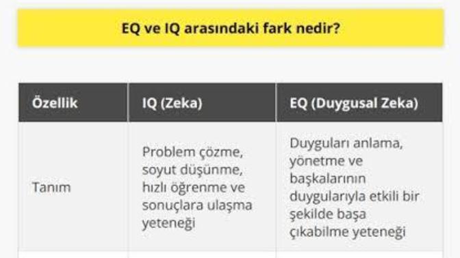 Duygusal zeka (eq) mu yoksa IQ nun yüksek olması mı daha çekici?