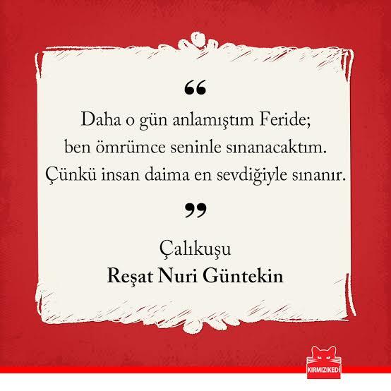 Hoşunuza giden bir kitap cümlesi, alıntı var mı?