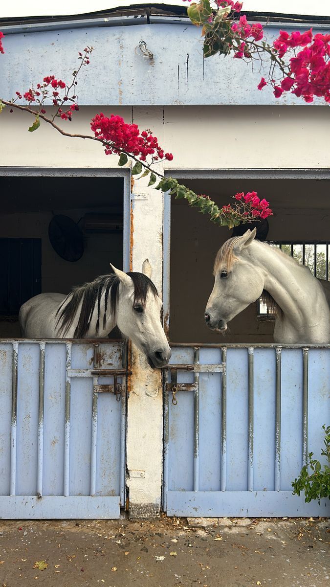 🥰