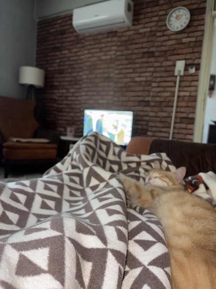 Pazar sabahlarını güzel yapan şey nedir, sizin için ne olsa güzel olurdu?