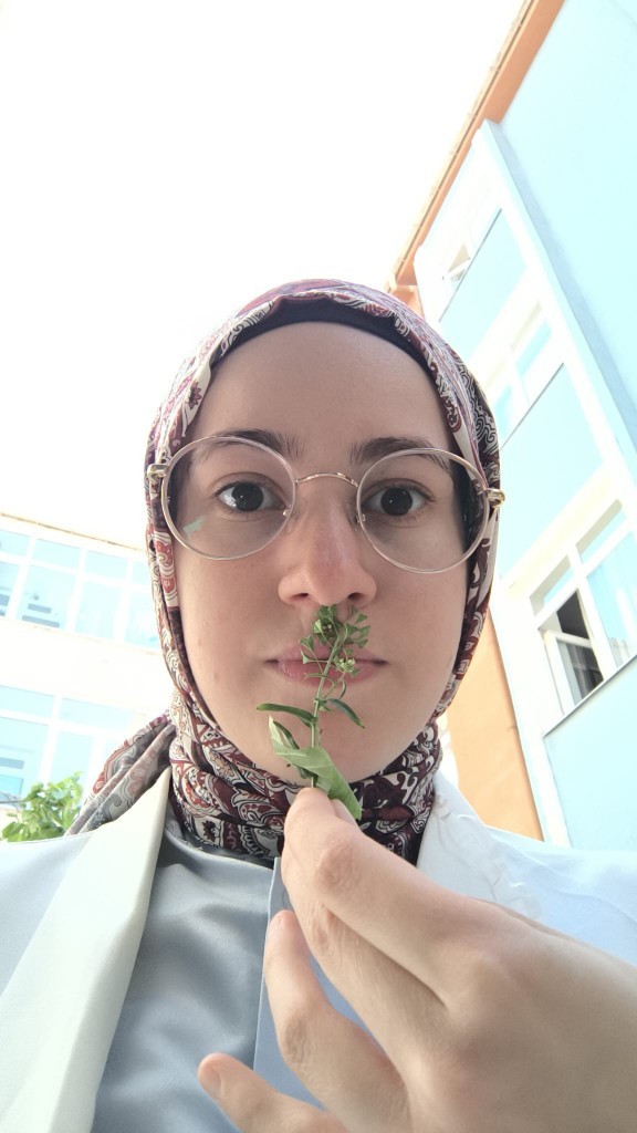 Birisi size çiçek koparıp verse mutlu olur musunuz? Yoksa mutlu etmez mi?