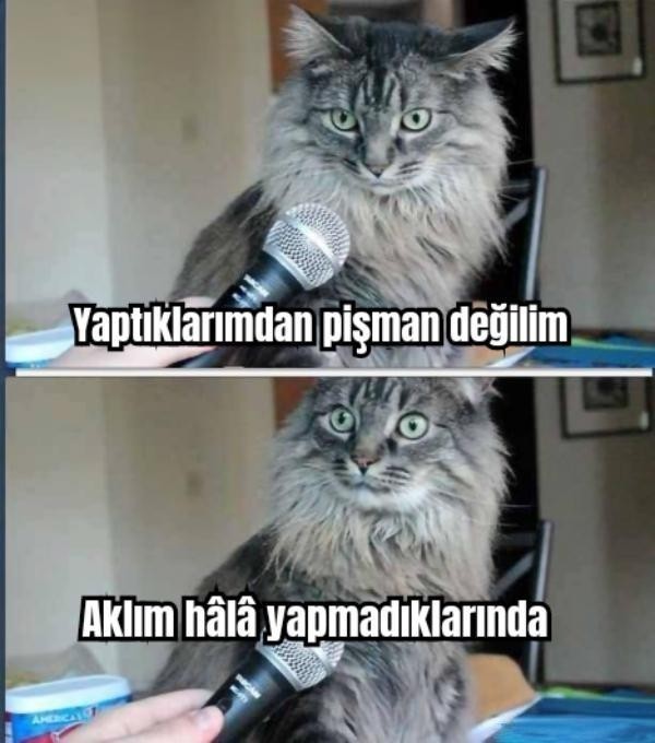 Pişman olduğunuz bir şey var mı?