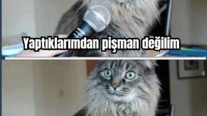 Pişman olduğunuz bir şey var mı?