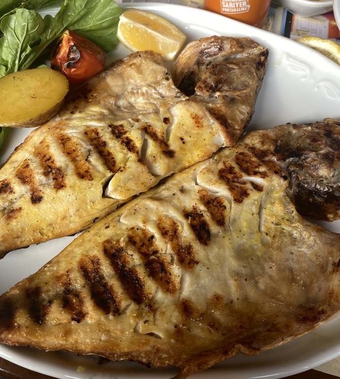 Deniz çipurası