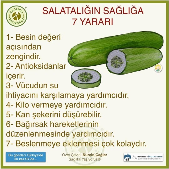Salatalığı kabuklu mu, kabuksuz mu seviyorsunuz?