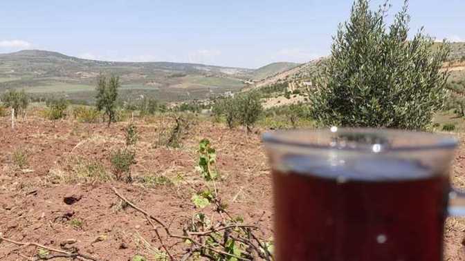 Semaverde çay sever misiniz?
