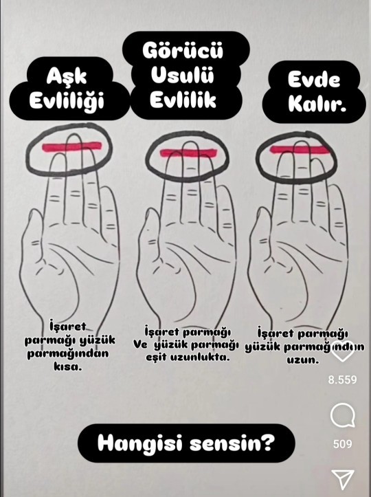 Hangisi sizsiniz?