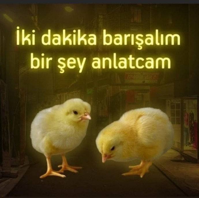 Ablamı şu şekil darladığım doğrudur