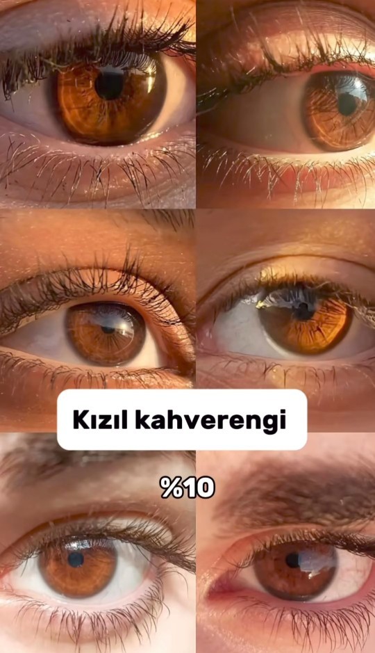 Gözleri kahve olanlar kahvenin hangi tonu gözleriniz?