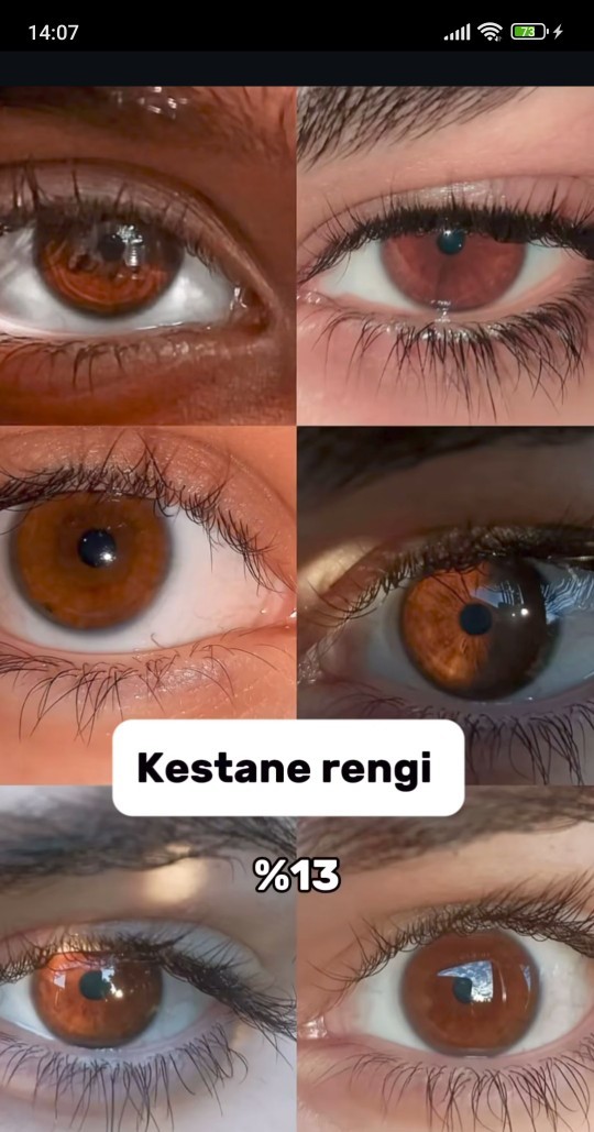 Gözleri kahve olanlar kahvenin hangi tonu gözleriniz?