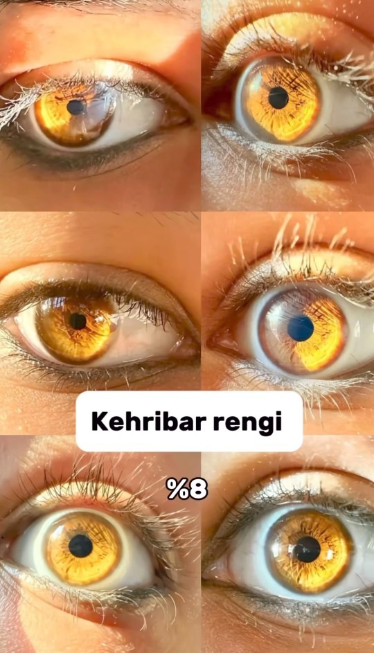 Gözleri kahve olanlar kahvenin hangi tonu gözleriniz?