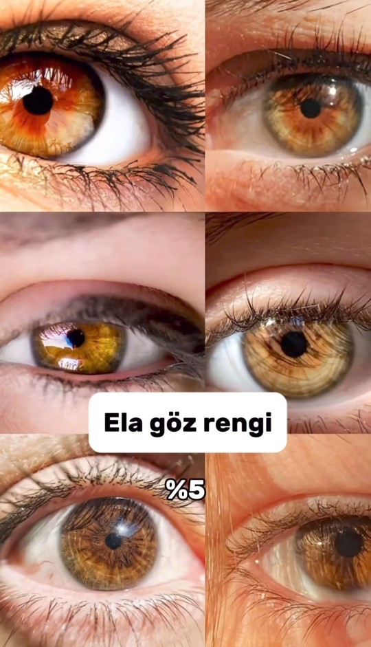 Gözleri kahve olanlar kahvenin hangi tonu gözleriniz?