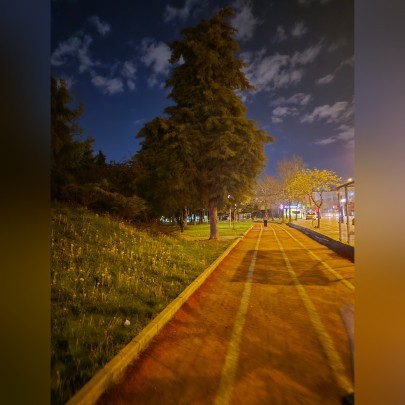 Akşam yürüyüşü mü? Sabah yürüyüşü mü?