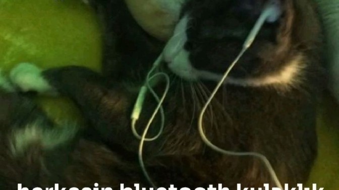 Hâla kablolu kulaklık mi bluetooth kulaklık mi kullanıyorsunuz 🥺?