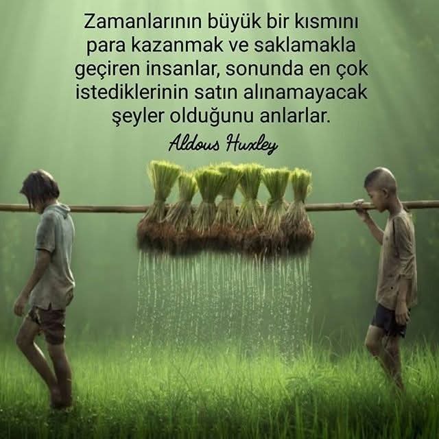 Son ırmak kuruduğunda, son ağaç yok olduğunda, son balık öldüğünde; beyaz adam paranın yenmeyen bir şey olduğunu anlayacak mi?