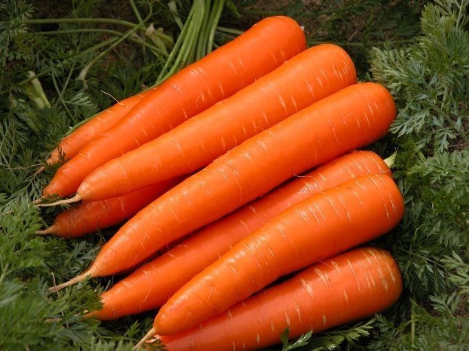 Pişmeden çiğ çiğ yerim yerim dediğiniz bitki veya sebze var mı?