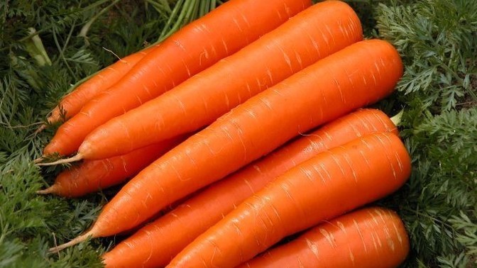 Pişmeden çiğ çiğ yerim yerim dediğiniz bitki veya sebze var mı?