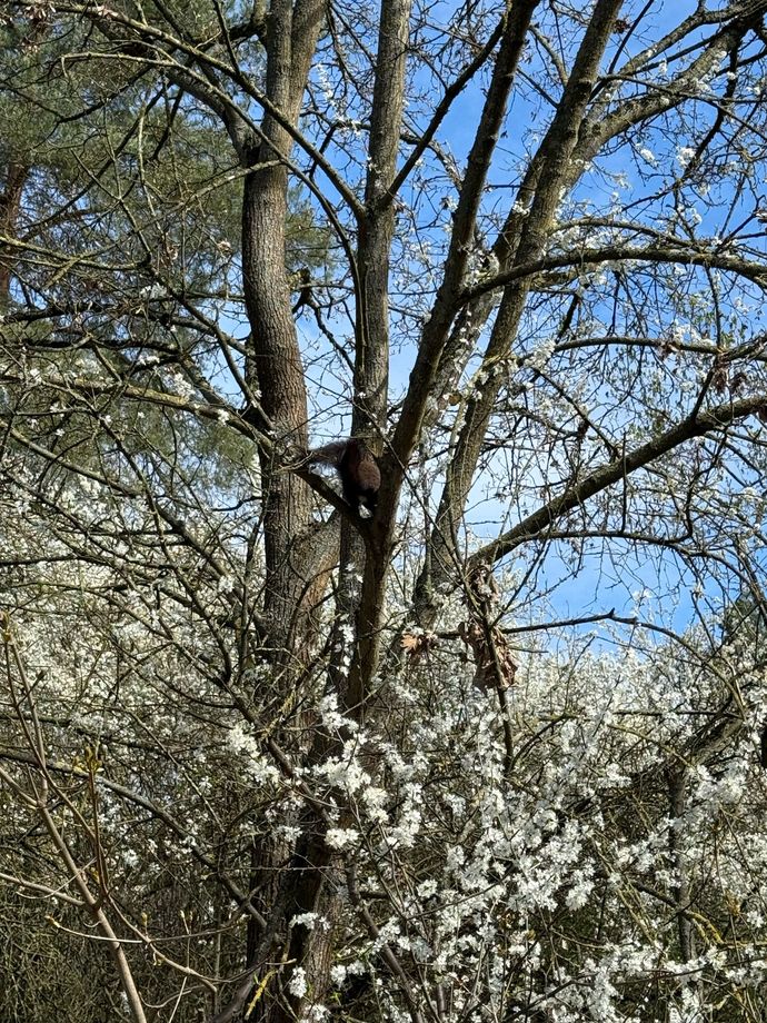 Bir çiçek olsaydınız, ne renkte açardınız🌸?
