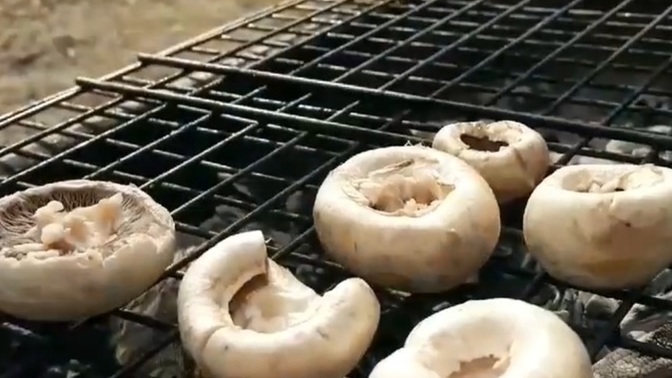 Közde mantar yediniz mi ?
