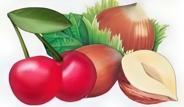 Nerelisiniz, nereli olduğunuzu bir görsel, yemek, sözle anlatır mısınız?