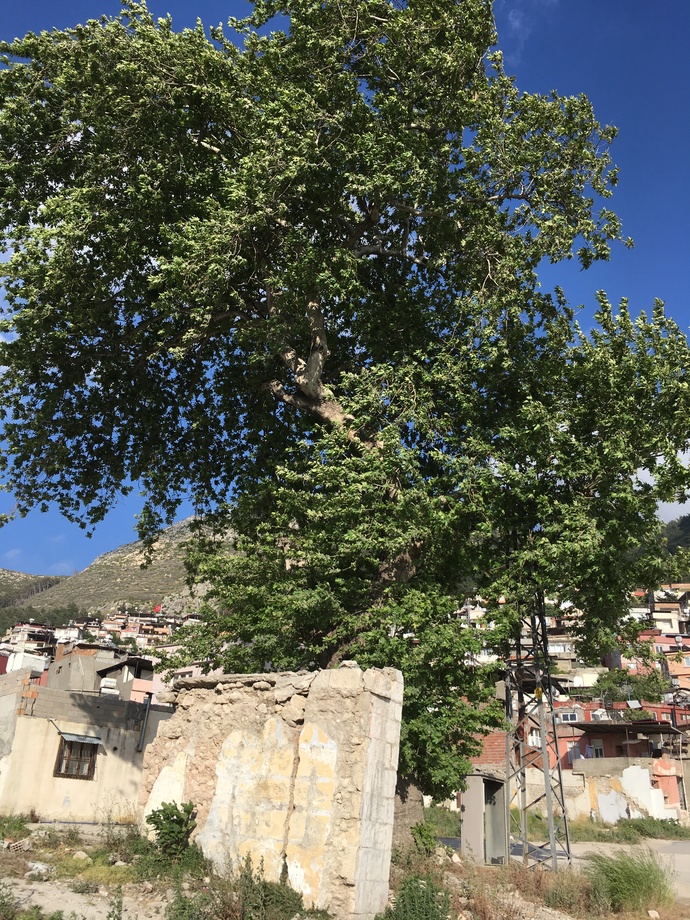 Şehrin göbeği mi yoksa sakin yer mi?