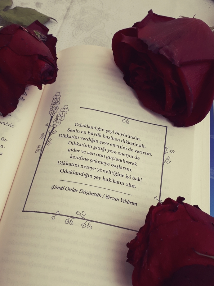 Şimdi Onlar Düşünsün / Bircan Yıldırım ❤