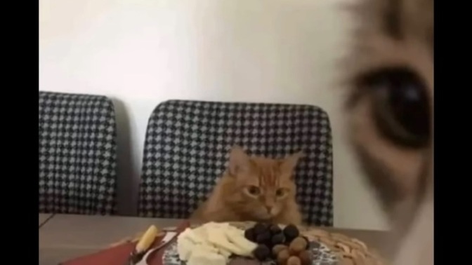 Stabil giden bir ilişkide heyecan olsun diye tartışma yaratır mısınız?