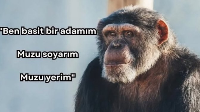 Arabada otomatik yoksa manuel mi tercih ediyorsunuz?
