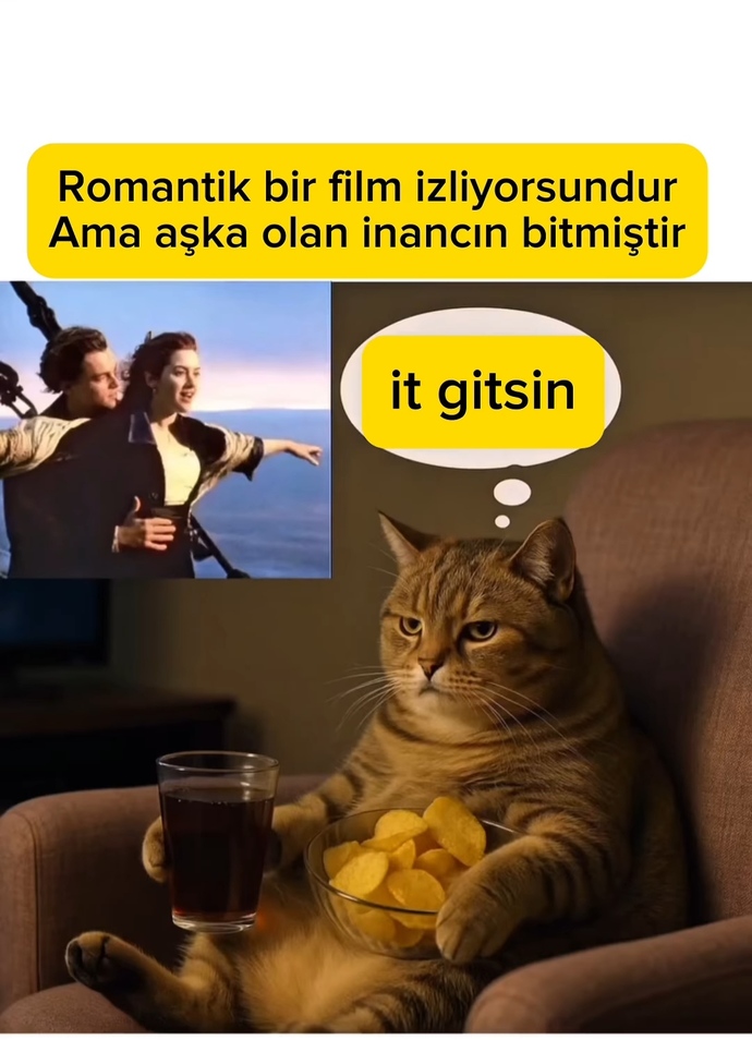 Ha ben ha görselde ki kedi😂