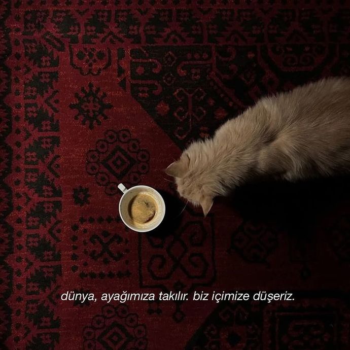 Gökyüzüne tutunur, kanatlanır yüreğimiz..
