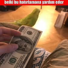 Google'an iPhone'a fırça... Ne düşünüyorsunuz?
