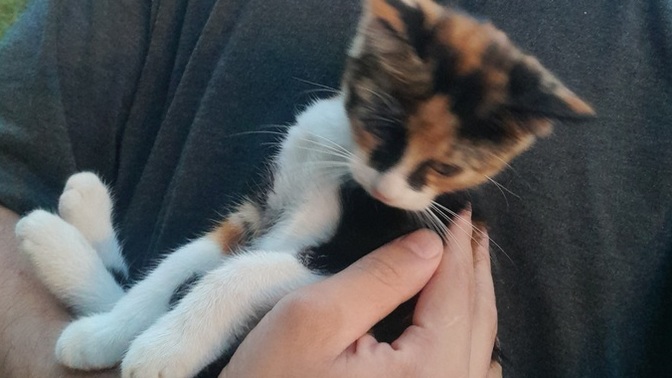 Bu minnoşun ismi ne olsun?