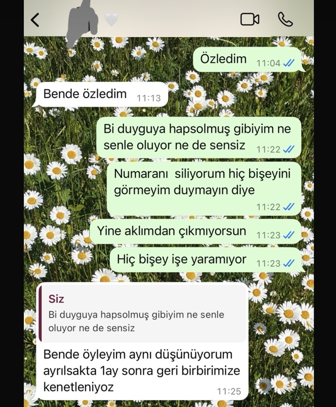 Arkadaşlar exime mesaj attım barıştık kötümü yapmışım?