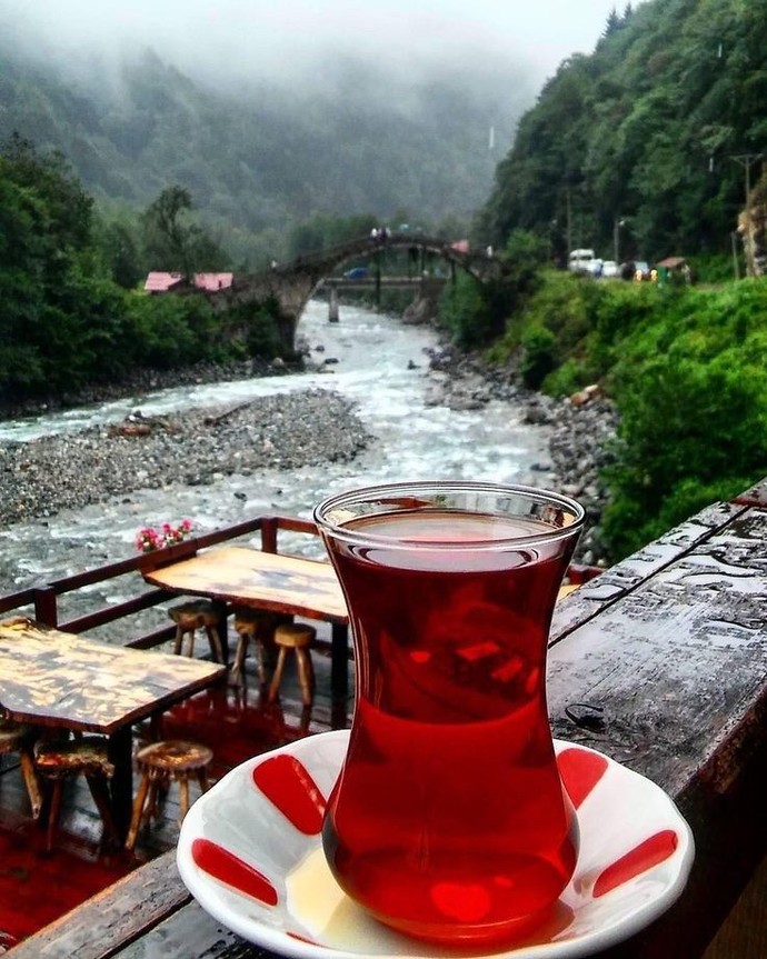 Tek bir içecekle ömrünü geçirecek olsan hangisini seçerdin?