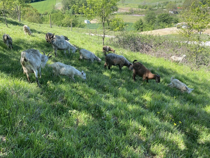 Sevdiğin kişinin geçmişi seni ne kadar ilgilendirir?