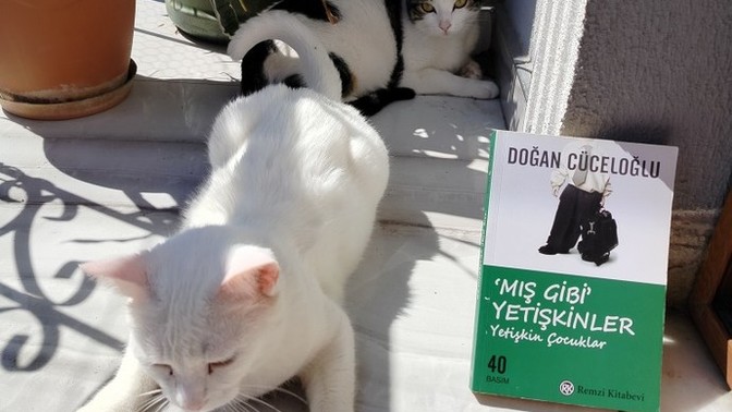 Hayatınız bir roman olsaydı, adı ne olurdu?