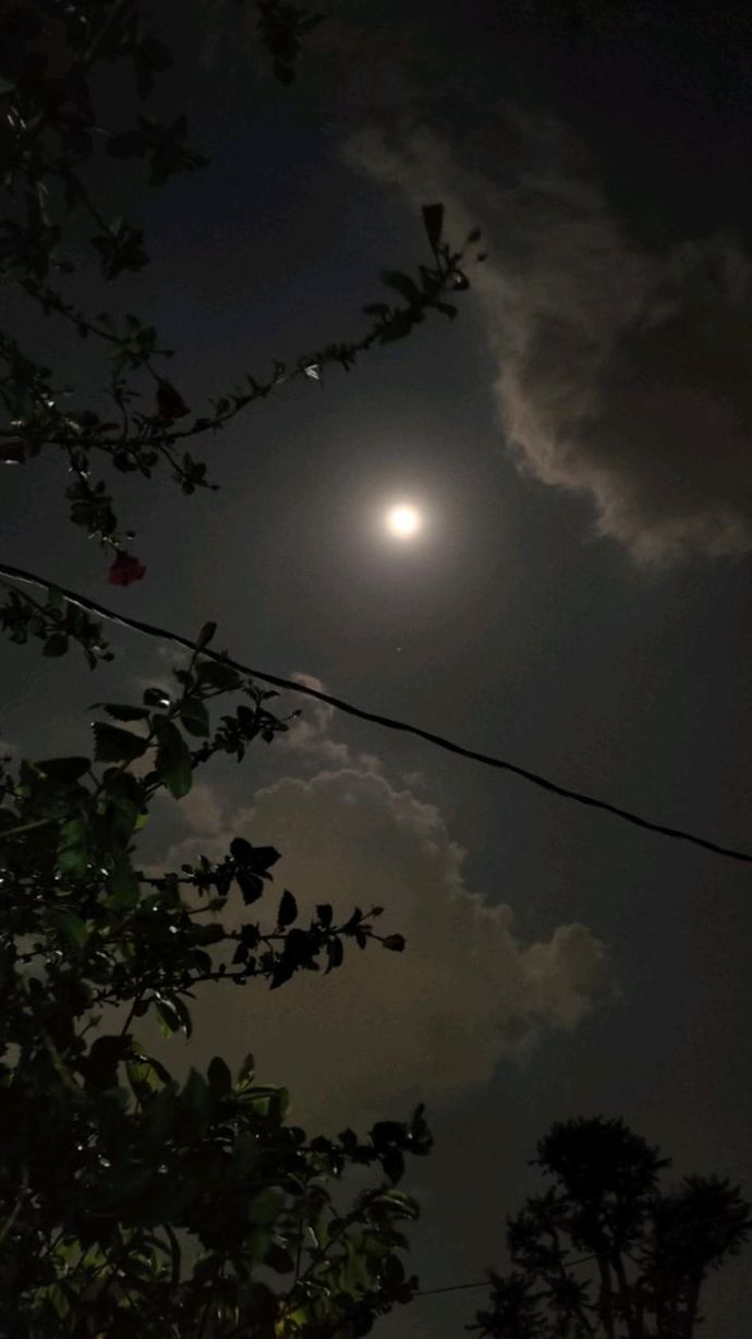 🌙✨