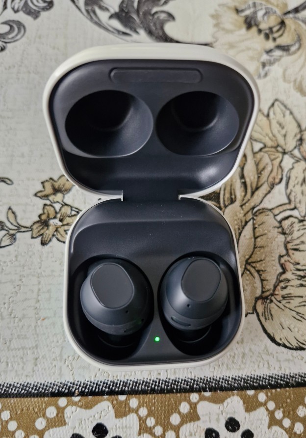 Samsung Galaxy Buds Fe Bluetooth kulaklık aldım alırım hayırlı olsun?