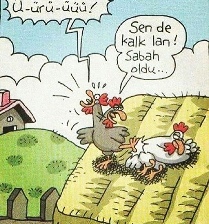 Günaydın güzel bir gün seninle olsun kalkın gali sabah oldu?