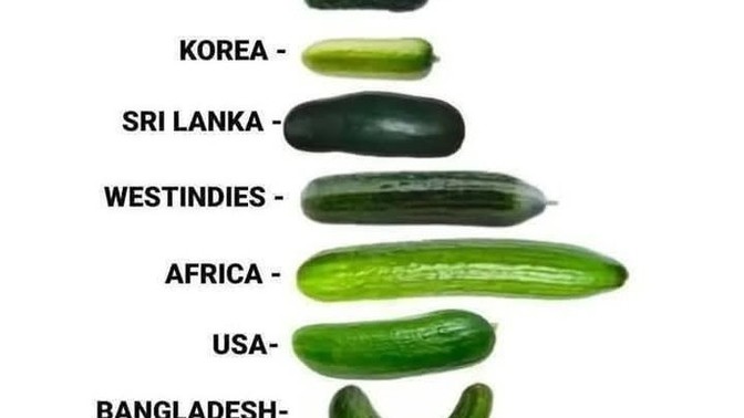 Hangi ülkenin salatalığını yemek isterdiniz?
