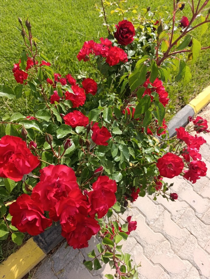 En çok hangi mevsimi kendinize benzetiyorsunuz?
