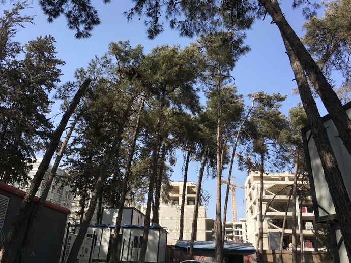 Havalar nasıl sizde?