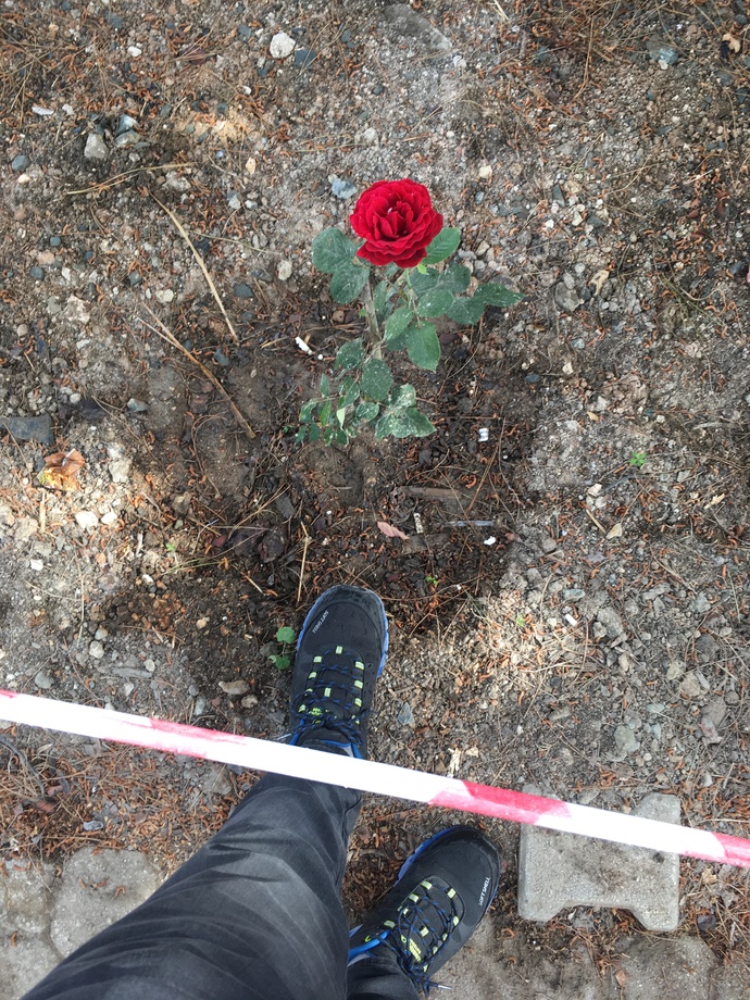 Havalar nasıl sizde?