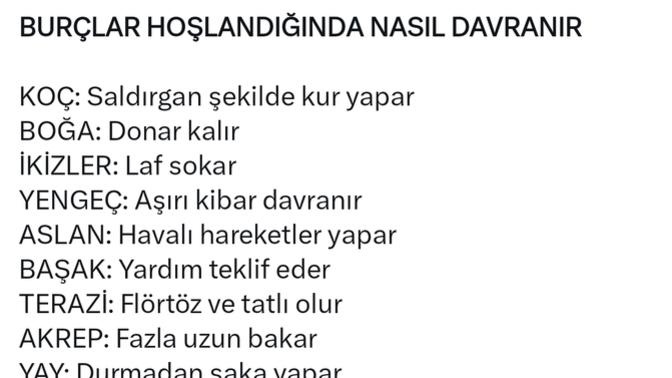 Burcunuza göre hoşlandığınızda nasıl davranırsınız?