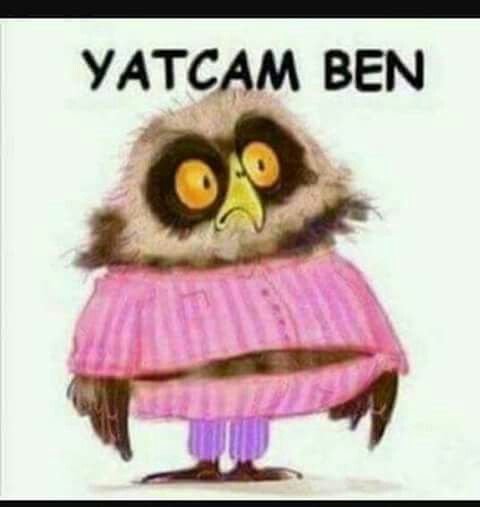 Akşamınıza ne eşlik ediyor?