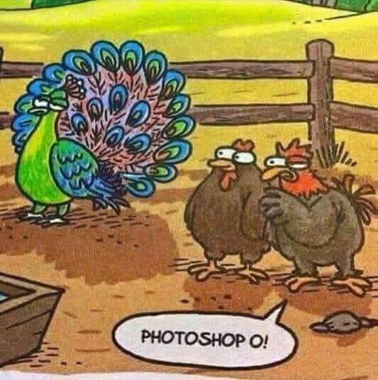 Fotoğraflarınızda photoshop kullanır mısınız?