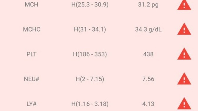 Kan tahlilimden anlayan yorumlayabilirmi?